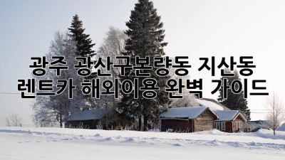 광주 광산구(본량동, 지산동) 렌트카 해외이용 완벽 가이드